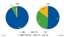 中国首席信息官预计IT预算平均将增长12%-维端网
