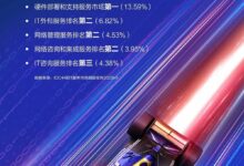 持续领航,新华三在2023上半年IT服务市场名列前茅-维端网